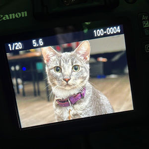 Meet your Posher, Cherie